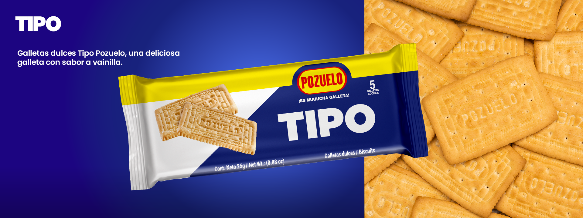 Galletas tipo